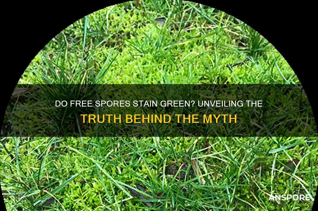 do free spores stain green