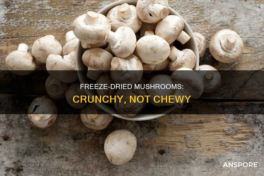 do freeze dried mushrooms snap