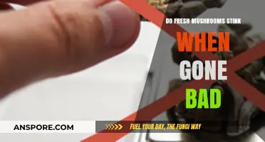 Do Fresh Mushrooms Stink When Gone Bad? A Quick Guide