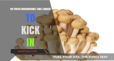 Do Fresh Mushrooms Take Longer to Kick In? Exploring Effects