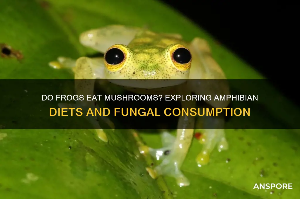do frogs eat mushrooms