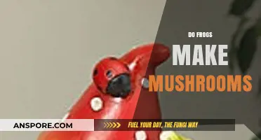 Frogs and Fungi: Unraveling the Myth of Mushroom-Making Amphibians