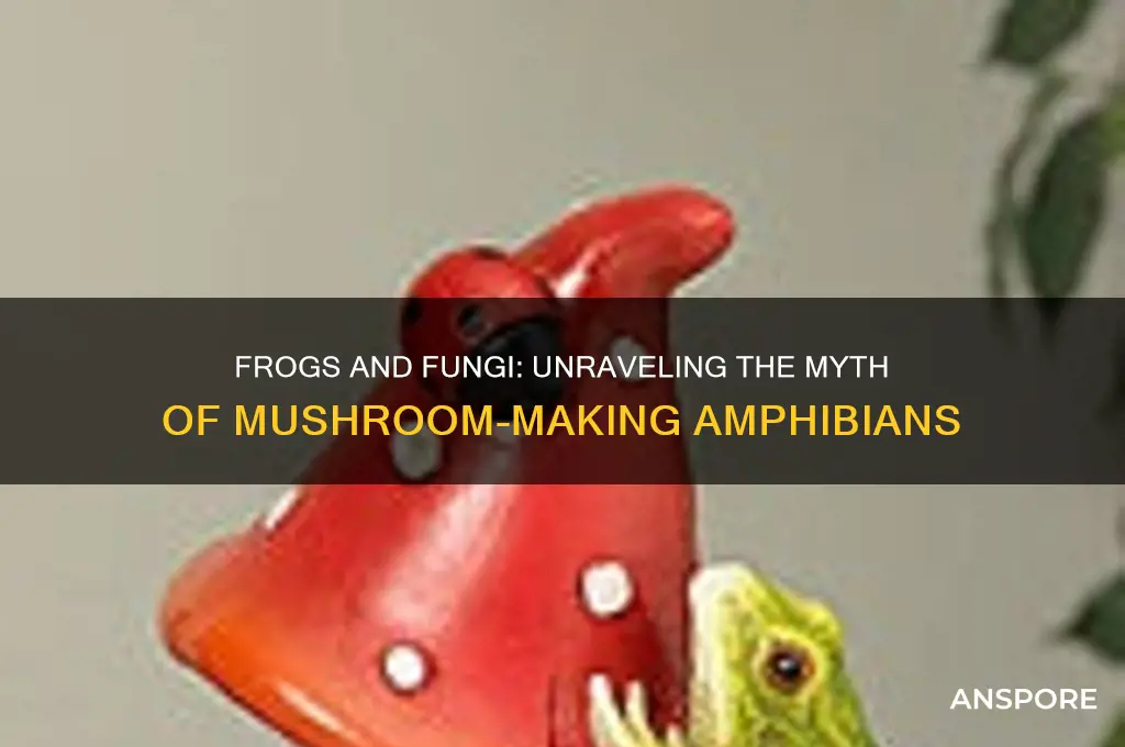 do frogs make mushrooms