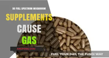 Full Spectrum Mushroom Supplements and Gas: What You Need to Know