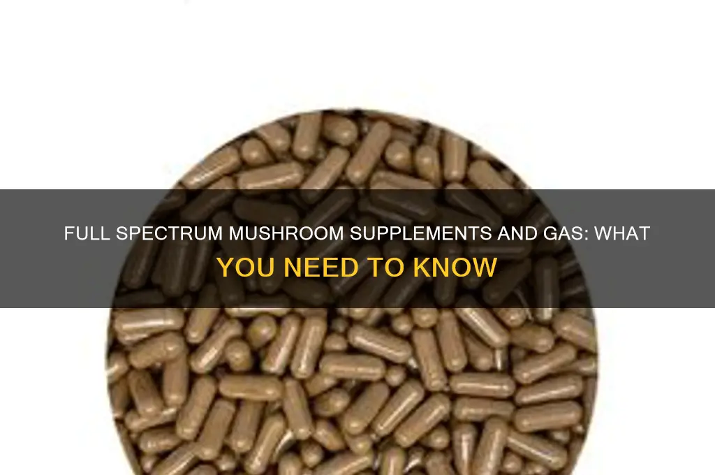 do full spectrum mushroom supplements cause gas