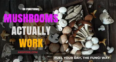 Do Magic Mushrooms Really Work?