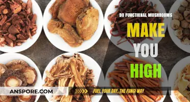 Do Functional Mushrooms Cause a High? Separating Fact from Fiction