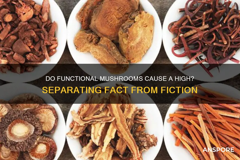do functional mushrooms make you high