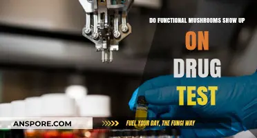 Do Functional Mushrooms Appear on Standard Drug Tests?