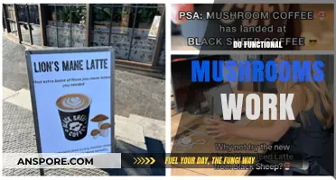 Do Functional Mushrooms Work: Myth or Magic?