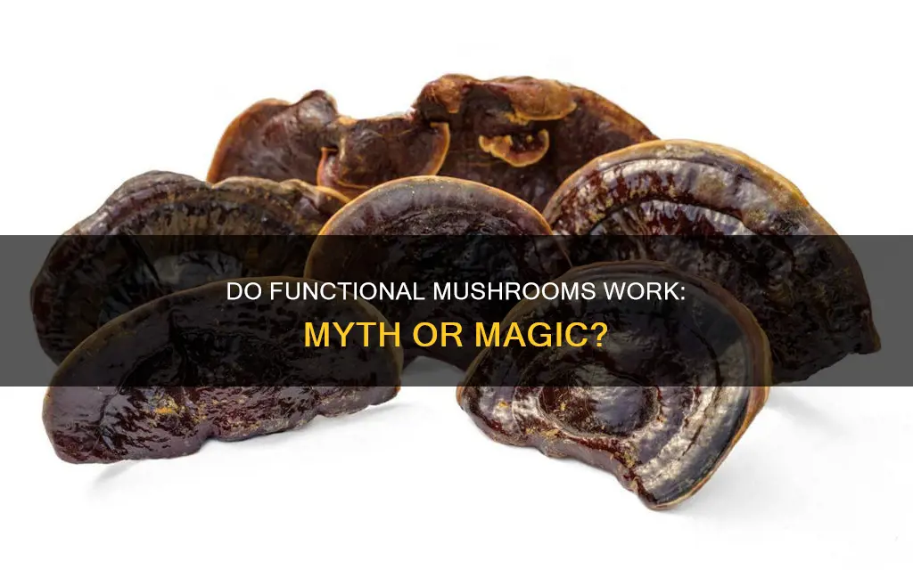 do functional mushrooms work