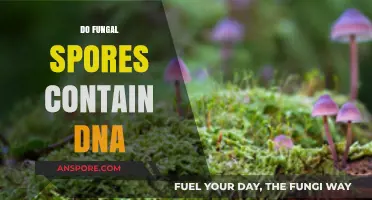 Do Fungal Spores Contain DNA? Unveiling the Genetic Secrets Within