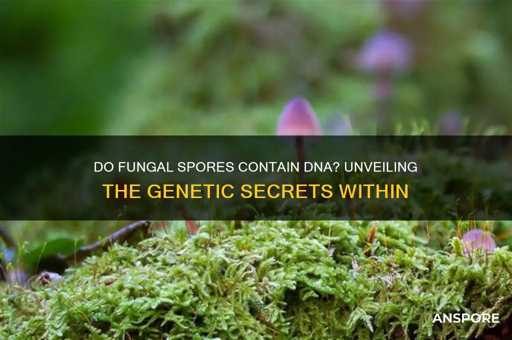 do fungal spores contain dna