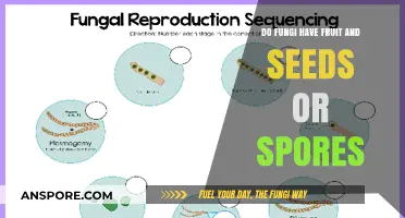 Fungi Reproduction: Understanding Spores vs. Fruits and Seeds Explained