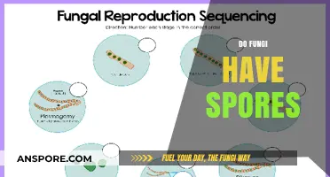 Do Fungi Have Spores? Unveiling the Truth About Fungal Reproduction