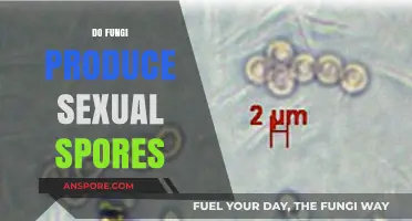 Do Fungi Produce Sexual Spores? Unveiling the Mysteries of Fungal Reproduction