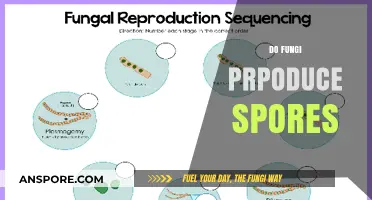 Do Fungi Produce Spores? Unveiling Their Reproduction Secrets