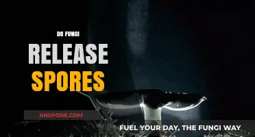 Do Fungi Release Spores? Unveiling the Fascinating Fungal Reproduction Process