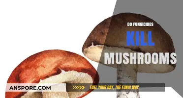 Fungicides: Friend or Foe to Mushrooms?