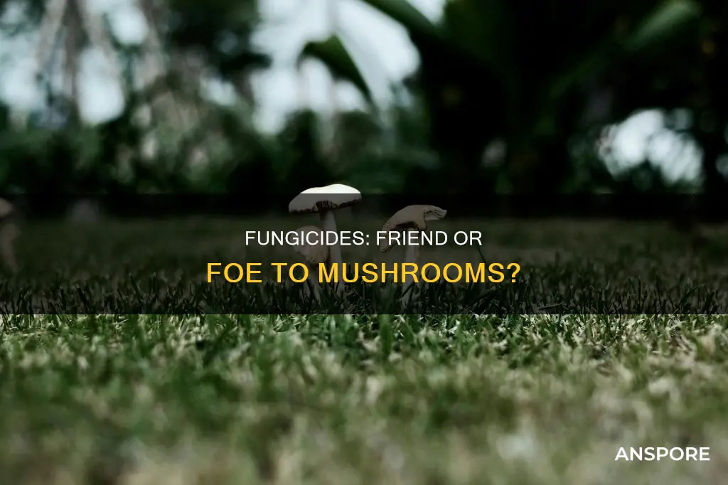do fungicides kill mushrooms