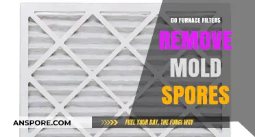 Can Furnace Filters Effectively Remove Mold Spores from Indoor Air?