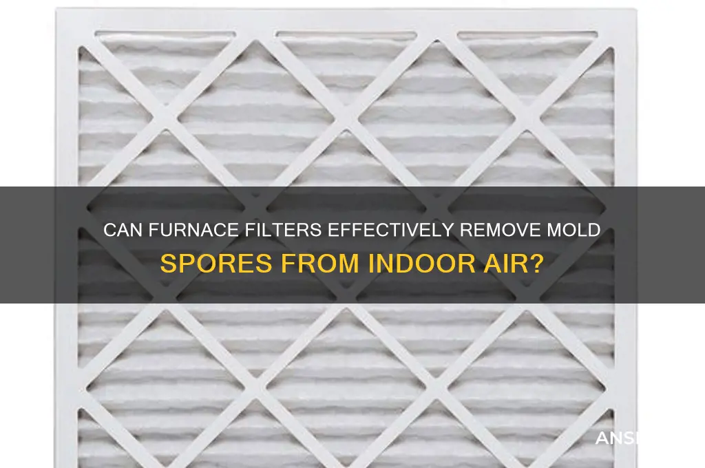 do furnace filters remove mold spores