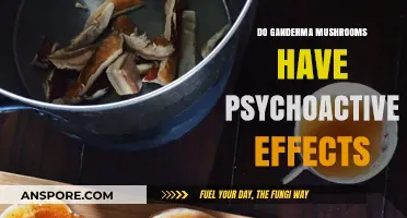 Do Ganoderma Mushrooms Induce Psychoactive Effects? Exploring the Facts