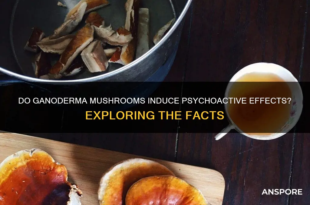 do ganderma mushrooms have psychoactive effects