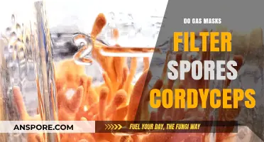 Can Gas Masks Protect Against Cordyceps Spores? A Detailed Analysis