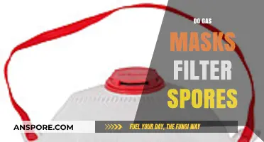 Do Gas Masks Effectively Filter Spores? A Comprehensive Analysis