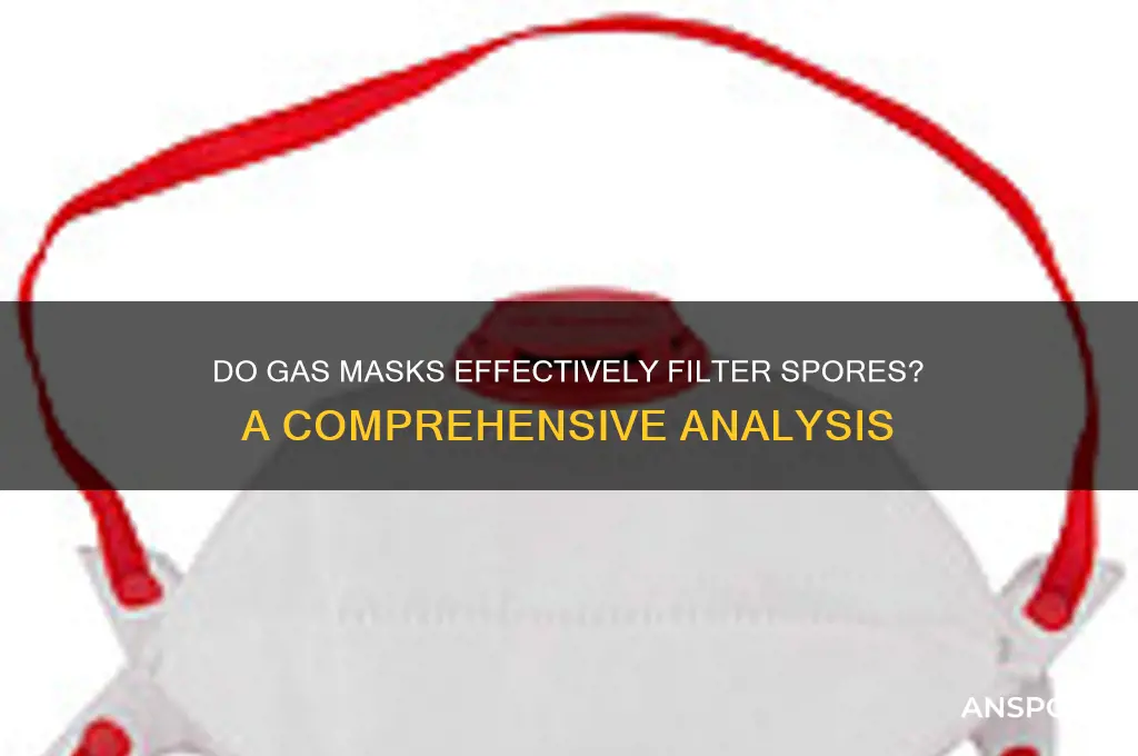do gas masks filter spores