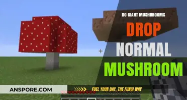 Do Giant Mushrooms Drop Normal Mushrooms? Exploring Fungal Facts