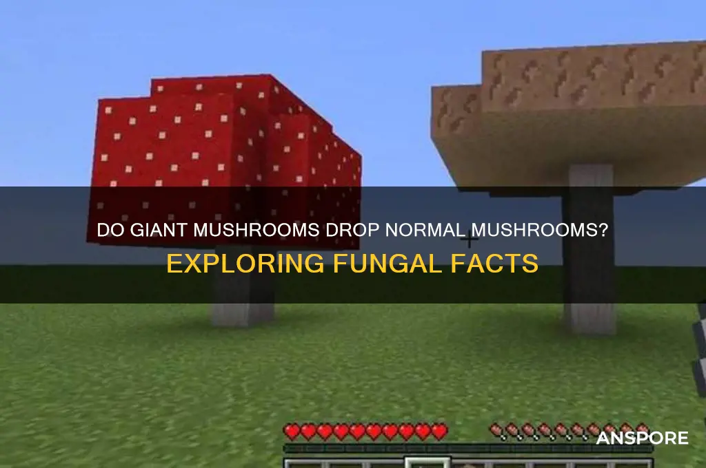 do giant mushrrooms drop normal mushrooms
