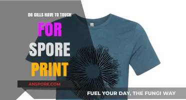 Do Mushroom Gills Need to Touch for Accurate Spore Prints?