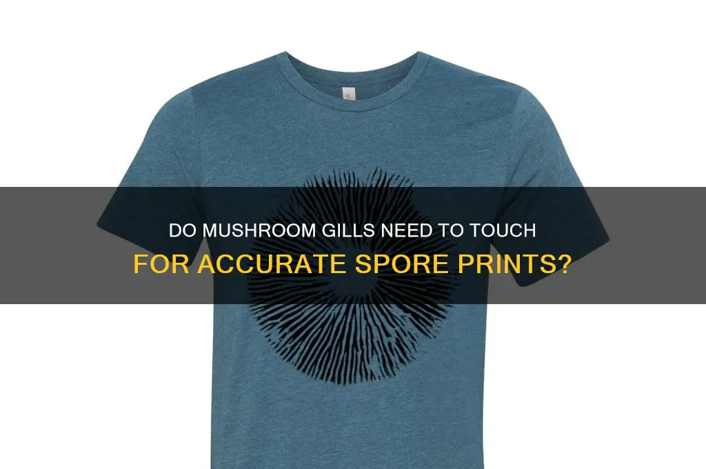do gills have to touch for spore print
