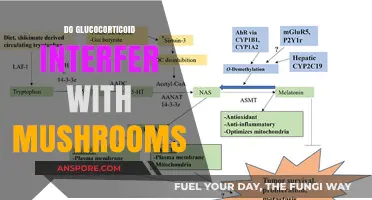 Glucocorticoid-Mushroom Mix: A Recipe for Disaster?