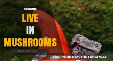 Gnomes and Mushrooms: Cozy Homes or Fungal Faux Pas?