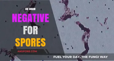 Gram-Negative Bacteria: Do They Form Spores? Unraveling the Mystery