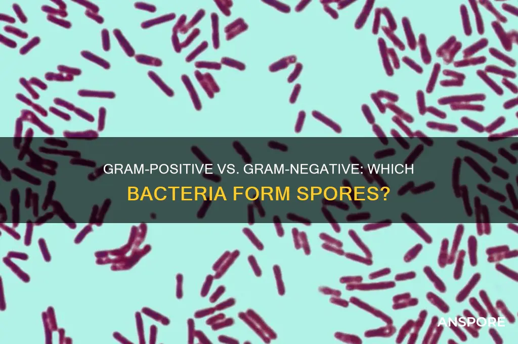 do gram positive or gram negative have spores