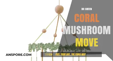 How Mobile are Green Coral Mushrooms?