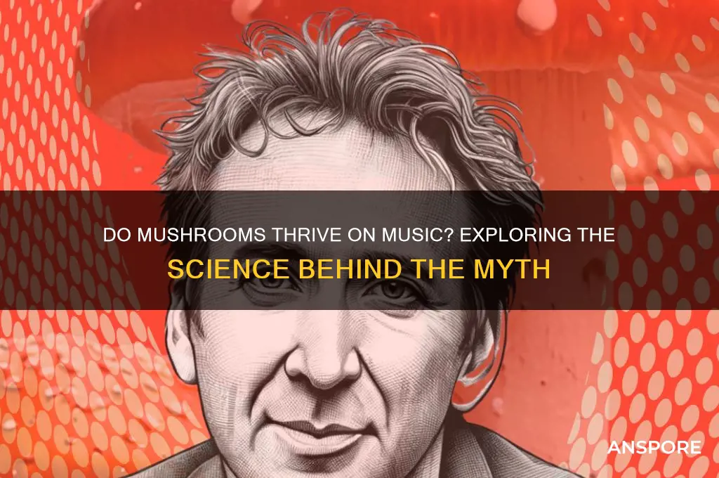 do growing mushrooms like music