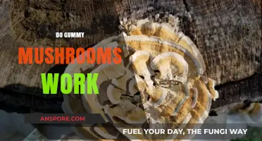 Gummy Mushrooms: Do They Work?