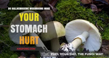 Hallucinogenic Mushrooms and Stomach Pain: Unraveling the Uncomfortable Truth