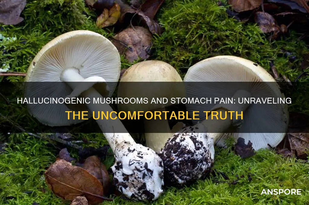 do hallucinogenic mushrooms make your stomach hurt