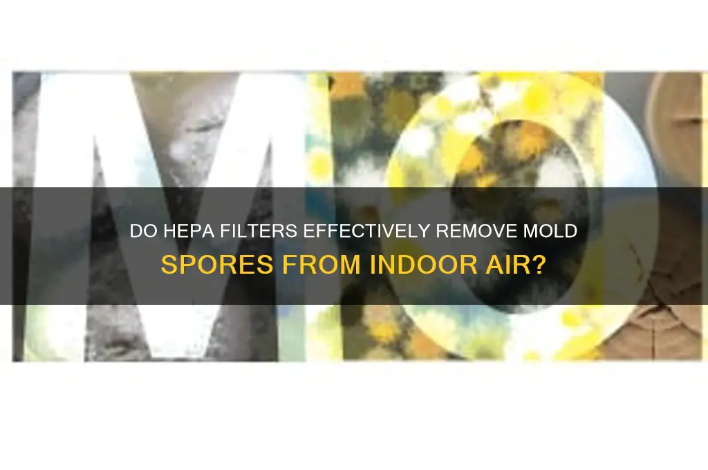 do hepa filters remove mold spores