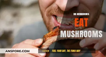 Do Herbivores Eat Mushrooms? Exploring Fungal Diets in Plant-Eaters