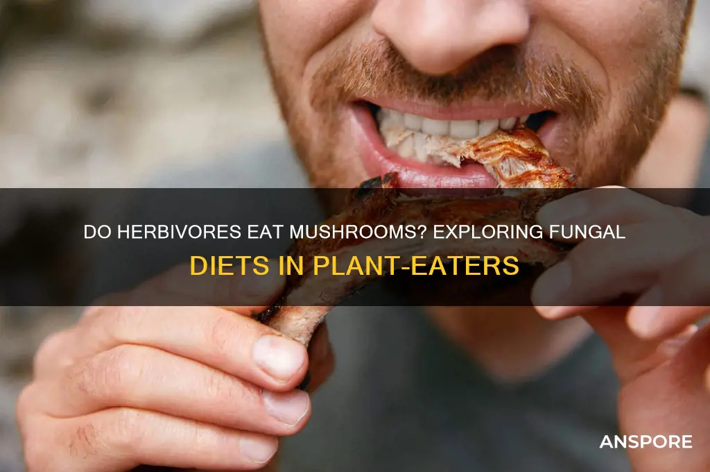 do herbivores eat mushrooms