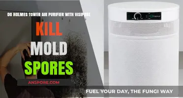 Holmes Tower Air Purifier: Does VisiPure Kill Mold Spores?