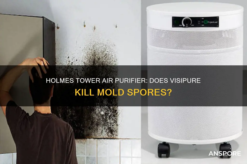 do holmes tower air purifier with visipure kill mold spores