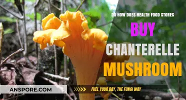How Health Food Stores Source and Purchase Chanterelle Mushrooms
